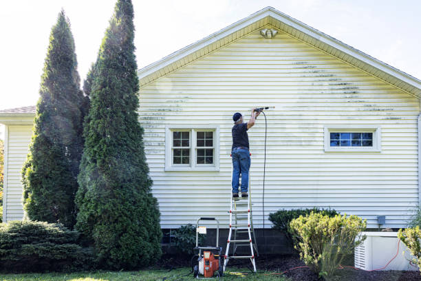 Best Pressure Washing Siding  in Harmony Grove, CA